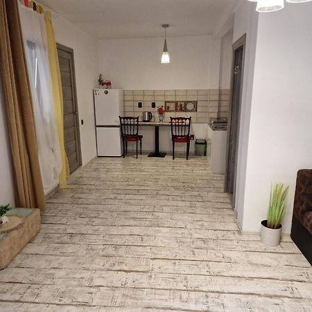 Ullysses Guest House Braşov Dış mekan fotoğraf