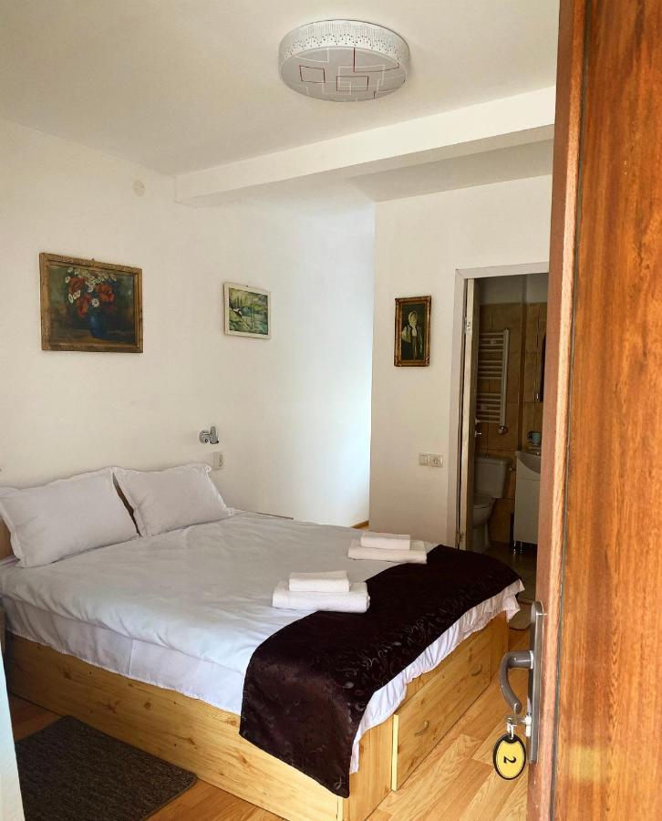 Ullysses Guest House Braşov Dış mekan fotoğraf